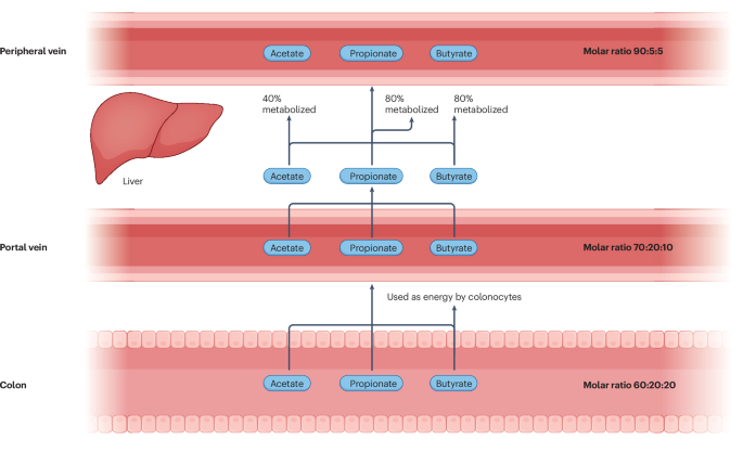 Short-chain fatty acids | Nature Metabolism