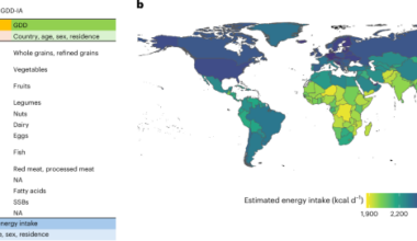 Global dietary estimates for conducting health, environmental and economic impact assessments