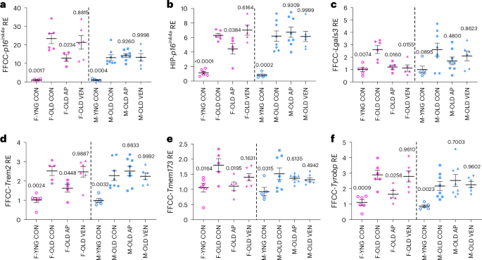 Fig. 7: Senotherapeutics reduce senescence and DAM gene expression in aged white matter.