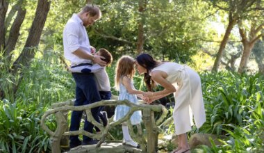 Meghan and children will not accompany Prince Harry to London - The Times