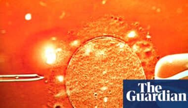 UK-based couple say overseas surrogacy agency made twins using wrong sperm | UK news