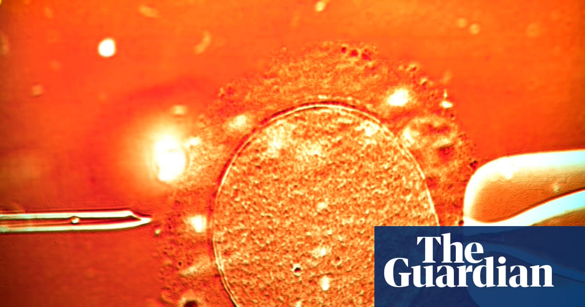 UK-based couple say overseas surrogacy agency made twins using wrong sperm | UK news