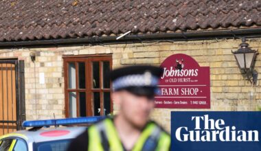 Three-year-old injured in UK crocodile enclosure faces ‘long rehabilitation’ | UK news