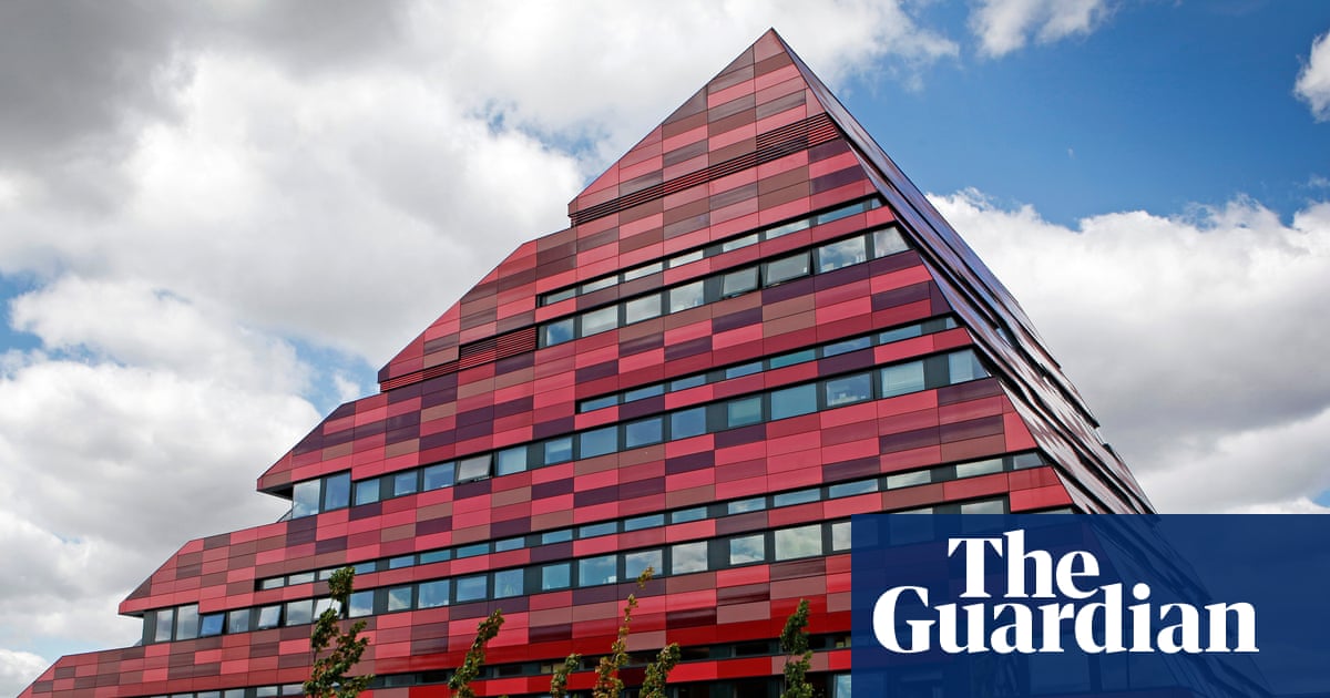 Cutting language courses puts social mobility at risk, say UK experts | Education