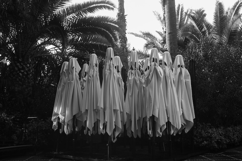 Park Chan-wook, Faces 13, 2013 