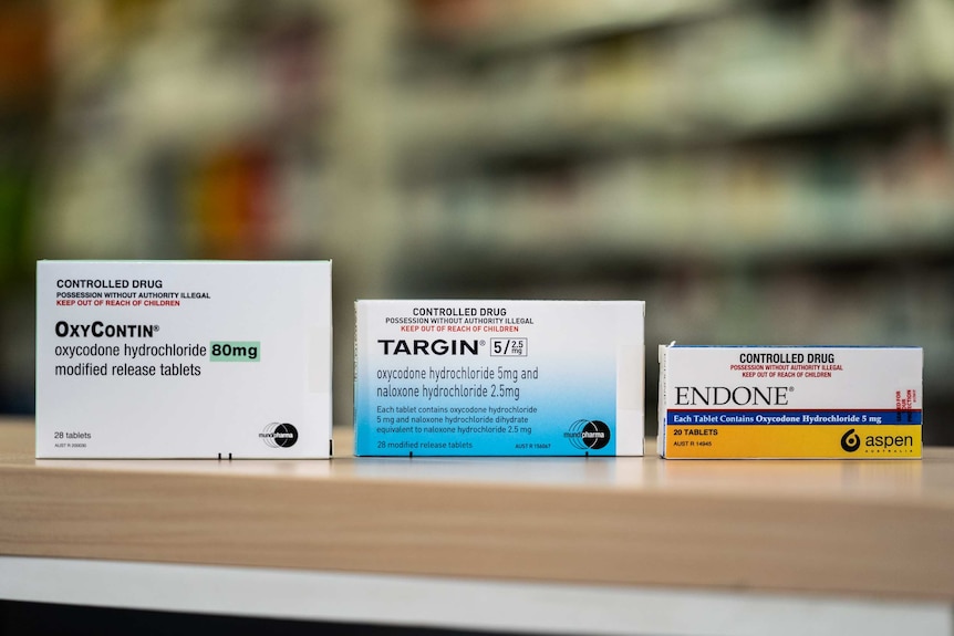 Packets of OxyContin, Targin and Endone.