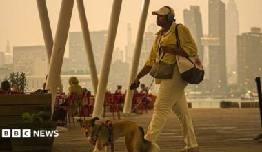 Orange haze in the New York city sky as a woman walks her dog