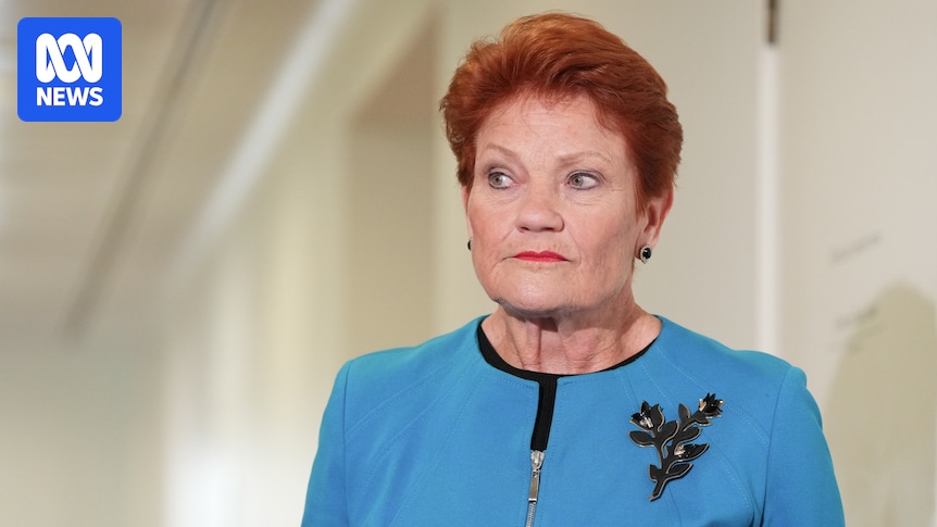What would Australia's economy look like under One Nation?