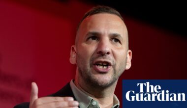 Burnham too influenced by ‘vested interests’ to offer change, Polanski says | Green party
