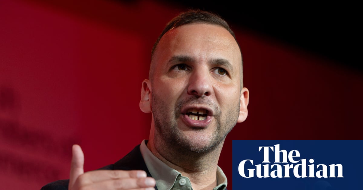 Burnham too influenced by ‘vested interests’ to offer change, Polanski says | Green party