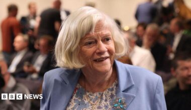 Ann Widdecombe - a grey-haired woman is pictured on a street. She is wearing a purple jacket and top.