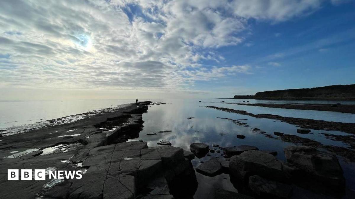 Dark mudstones half submerged in the sea, with a thin stretch of the rocks heading out further than the rest and a person can be seen walking along them.
