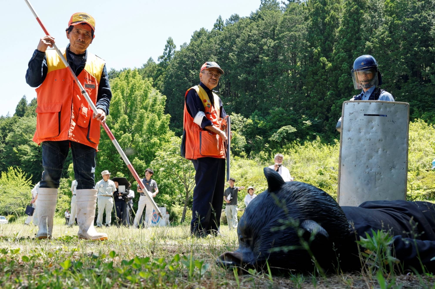 Japan deploys bear cameras in mountains as attacks surge