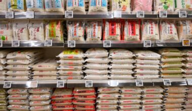 Japan sees record low consumption of domestic rice following shortages