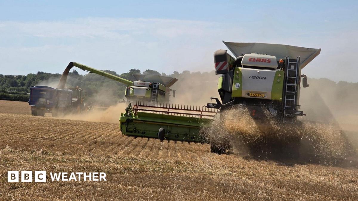 Farm machinery kicks up dust as it works on a brown, dry field, with trees in the distance and a milky blue sky overhead