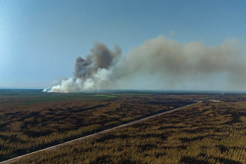 A forest fire burning in Blagon, Lanton, west of Bordeaux. Photograph: Ed Jones/AFP/Getty Images