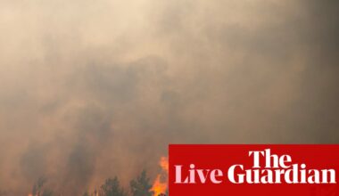Europe wildfires: more than 300,000 flee homes and holiday accommodation in France and Spain as fires rage | Wildfires