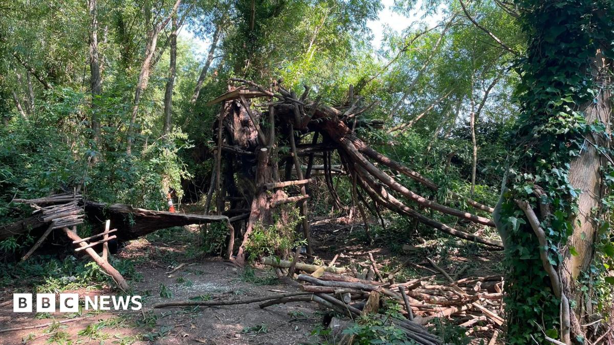 A treehouse in a wooded area is being demolished, branches that previously made up the structure have been taken down and are in piles on the floor.