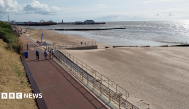 Clacton sea front with the pier in the distance.