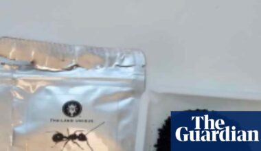 Michelin-starred restaurant owner in South Korea faces jail over ant dessert | South Korea