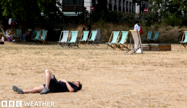 A man lying in a field of parched grass in the sunshine