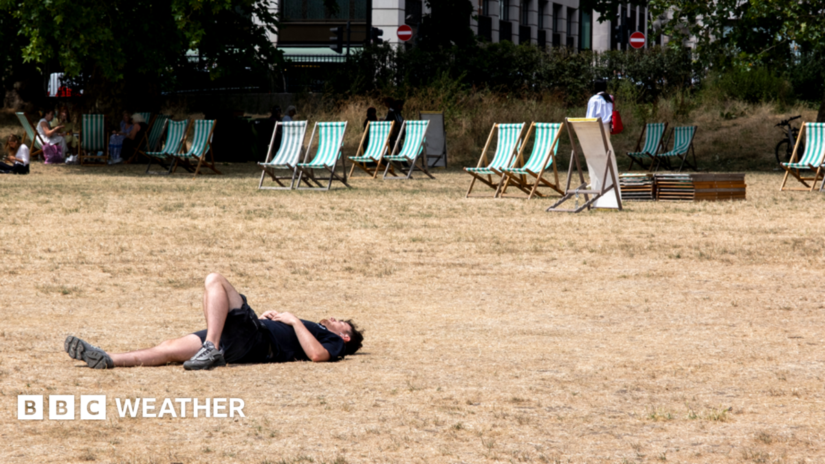 A man lying in a field of parched grass in the sunshine