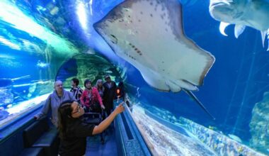 Dusit Place adds 6 new establishments, including aquarium, fitness center | Lifestyle