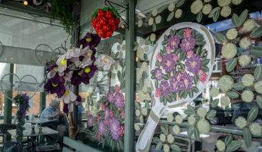 Wonderful world of Wimbledon Village windows competition - Wimbledon
