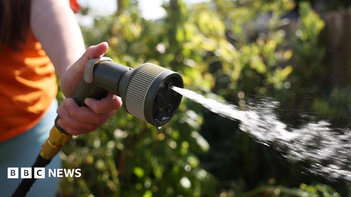 A cropped image showing a woman's arm holding a hosepipe squirting water in front of foliage.
