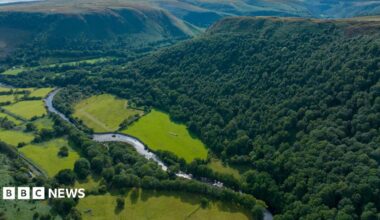 A river runs through a lush and green area with fields on the left and a forest on the right.