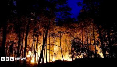A wildfire burns in Noisy-sur-Ecole near Fontainebleau, southern Paris