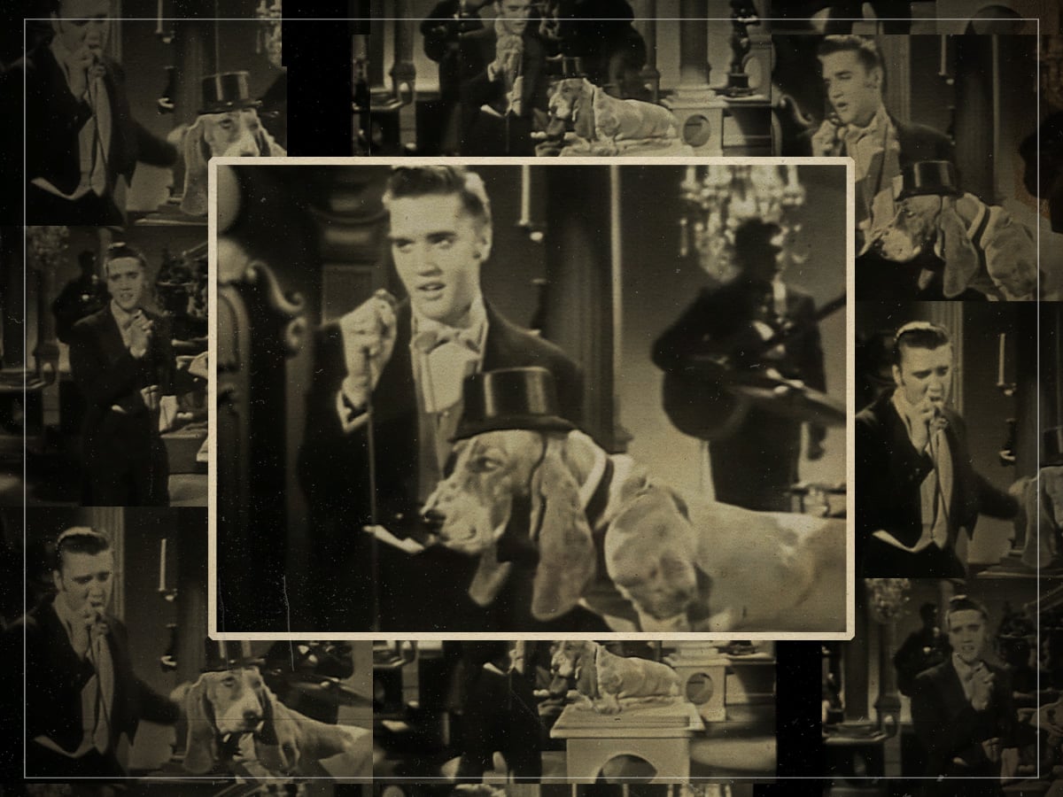 70 years ago, Elvis Presley serenaded a dog on live TV