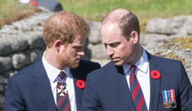 Royal Family LIVE: Prince William told to see Prince Harry on forthcoming trip | Royal | News