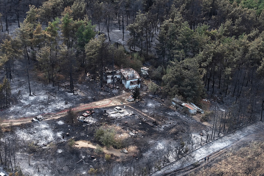 A burned house and vehicles are seen after a wildfire. The view is from above, showing grey ashes and rubble.