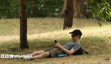A man wearing a baseball cap and sunglasses using a mobile phone while lying down on yellow dry-looking grass, under trees