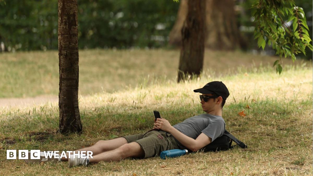 A man wearing a baseball cap and sunglasses using a mobile phone while lying down on yellow dry-looking grass, under trees