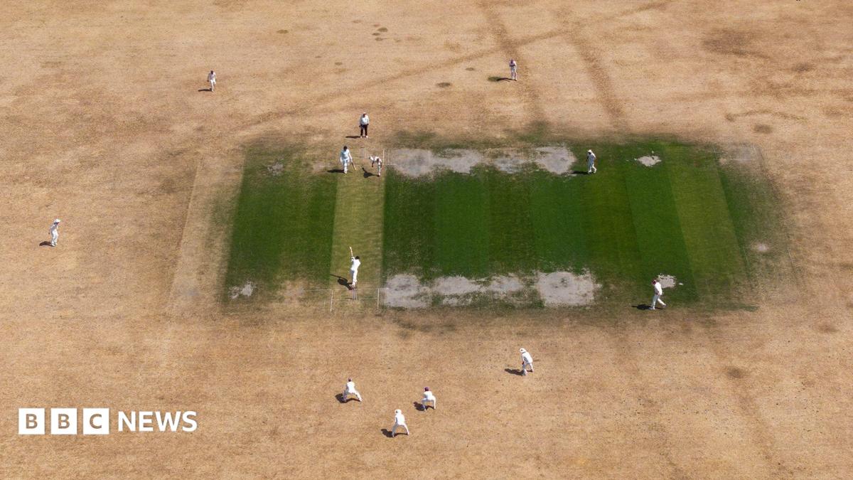 A person walks through parched park lands at Greenwich in London, Britain, 24 July 2026.