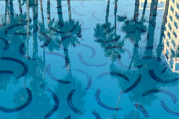 The artist used a brush tied to a broom handle to paint the hotel pool’s floor.
