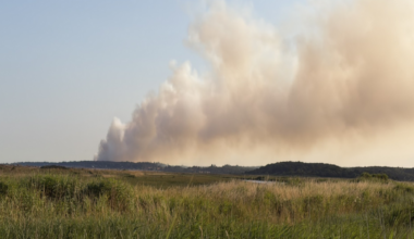 In a picture taken at ground level, grey smoke is drifting from the left to the right of the frame. There is grassland in the foreground.
