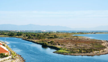 Why Leucate in south-west France is overrun by mosquitoes after lagoon flooding