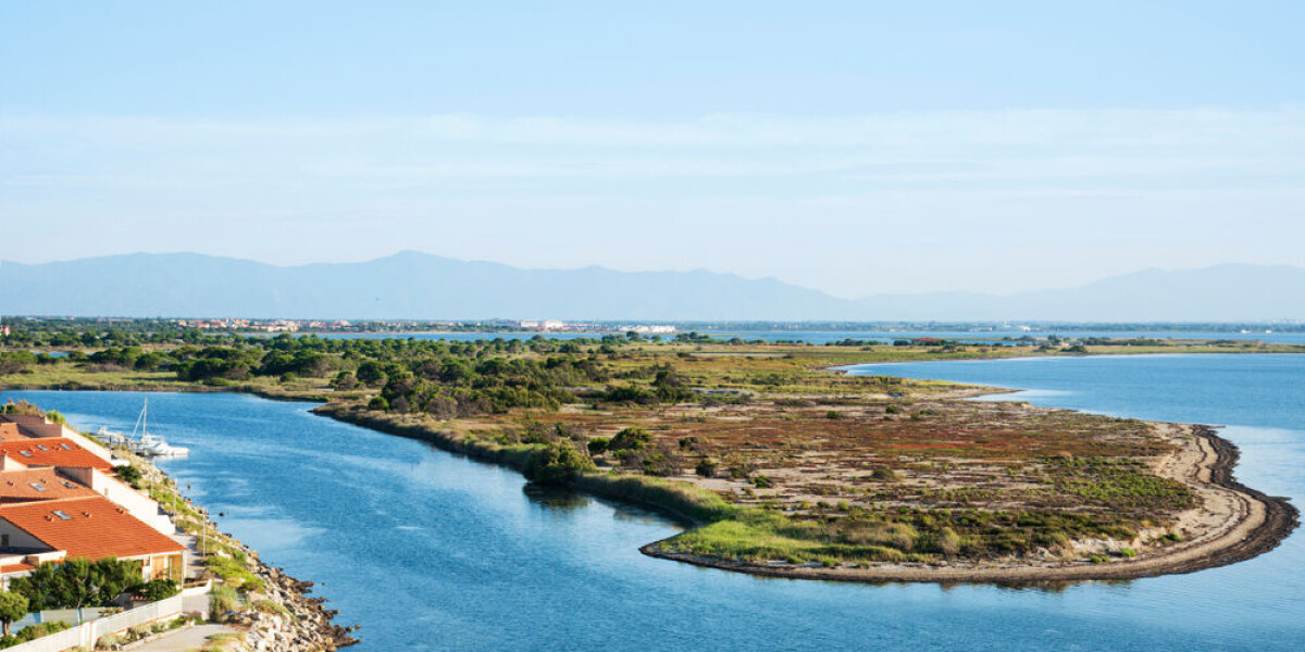 Why Leucate in south-west France is overrun by mosquitoes after lagoon flooding