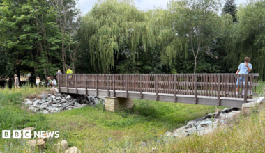 This image shows an outdoor park or natural green-space setting centered on a wooden pedestrian bridge.