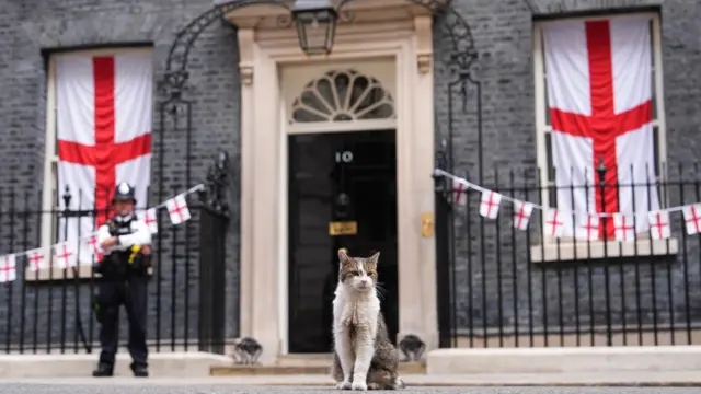 Larry the cat sitting in front of 10 Downing Street, London, decked out in St George's Cross flags ahead of England playing Argentina in the World Cup semi-final on Wednesday in Atlanta, USA