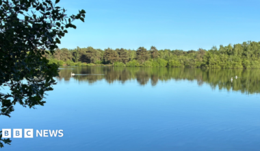 A serene, calm lake under a blue sky.