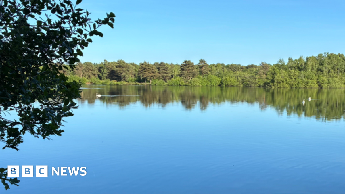 A serene, calm lake under a blue sky.