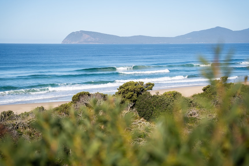 Rolling waves on a sunny day. Bushland can be seen in the foreground, and cliffs beyond the ocean.