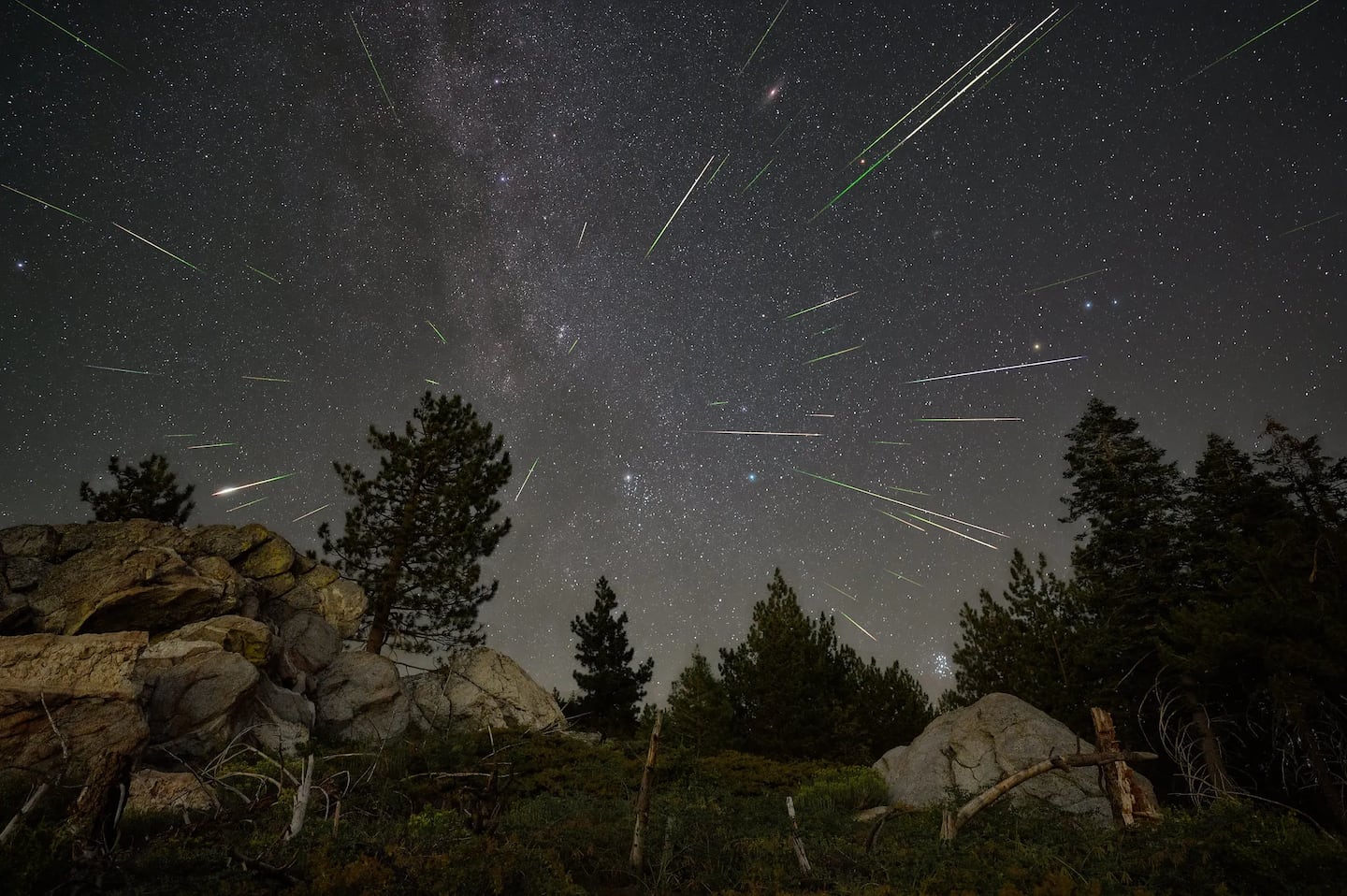 Perseids meteors streak over Sequoia National Forest in California in 2023.
