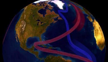 Scientists Say a Critical Ocean Current System May Already Be Past the Point of No Return