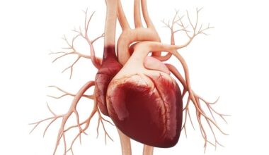 Long-term study shows how neighborhood conditions shape women's heart health