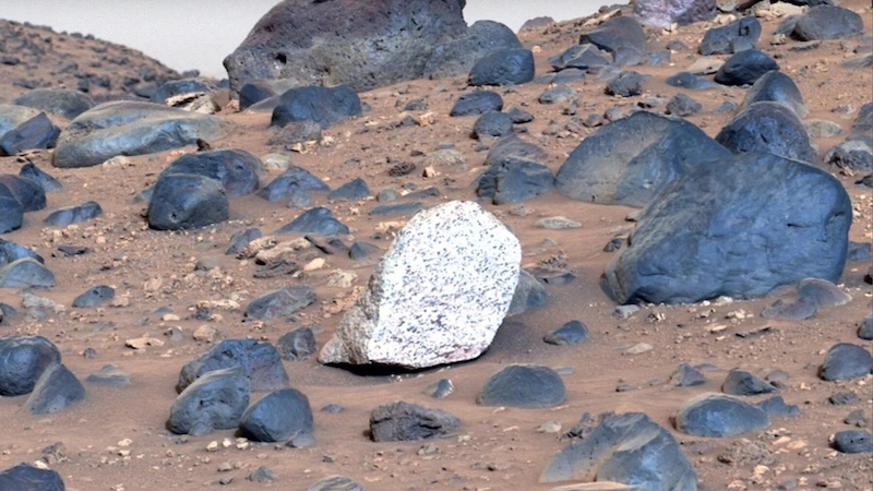 Single bright white, speckled rock sitting by itself in a field of much darker rocks.